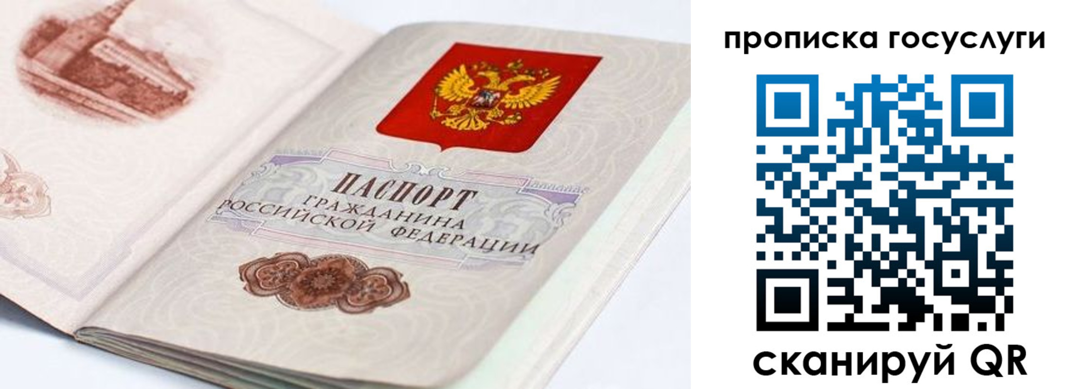 прописка гарантия в Балаково